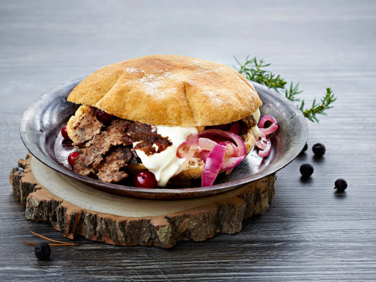 Moose Kebab (Hirvikebab)